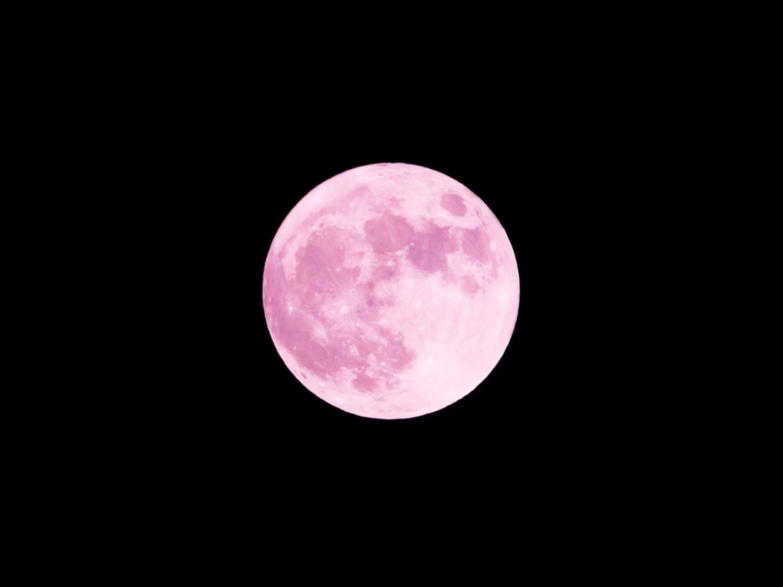 Is the moon really pink?