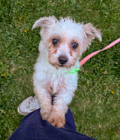 June - ADOPTED