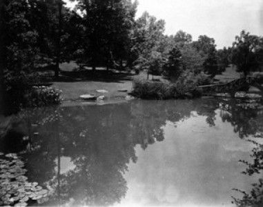 Fish pond in summer, ca. 1933