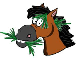 Join Hay Club for Horses Today!!!