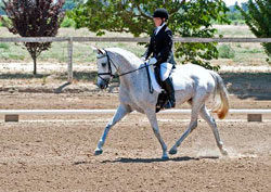 Five Dressage Instructors Awarded Grants from The Dressage Foundation