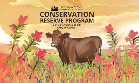 Producers and Landowners Can Now Enroll in USDA's Grassland Conservation Reserve Program