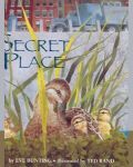 Secret Place book cover