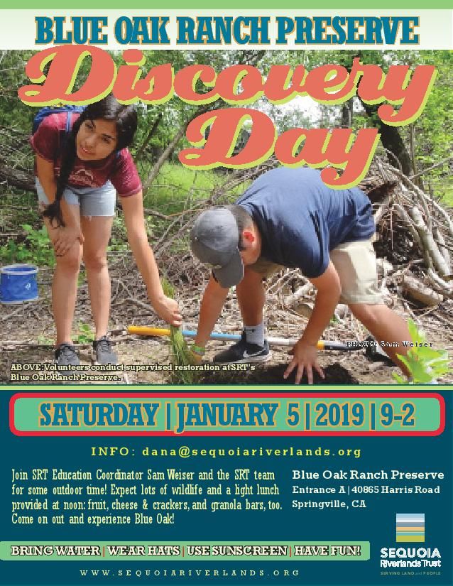 Blue Oak Discovery Day scheduled for January