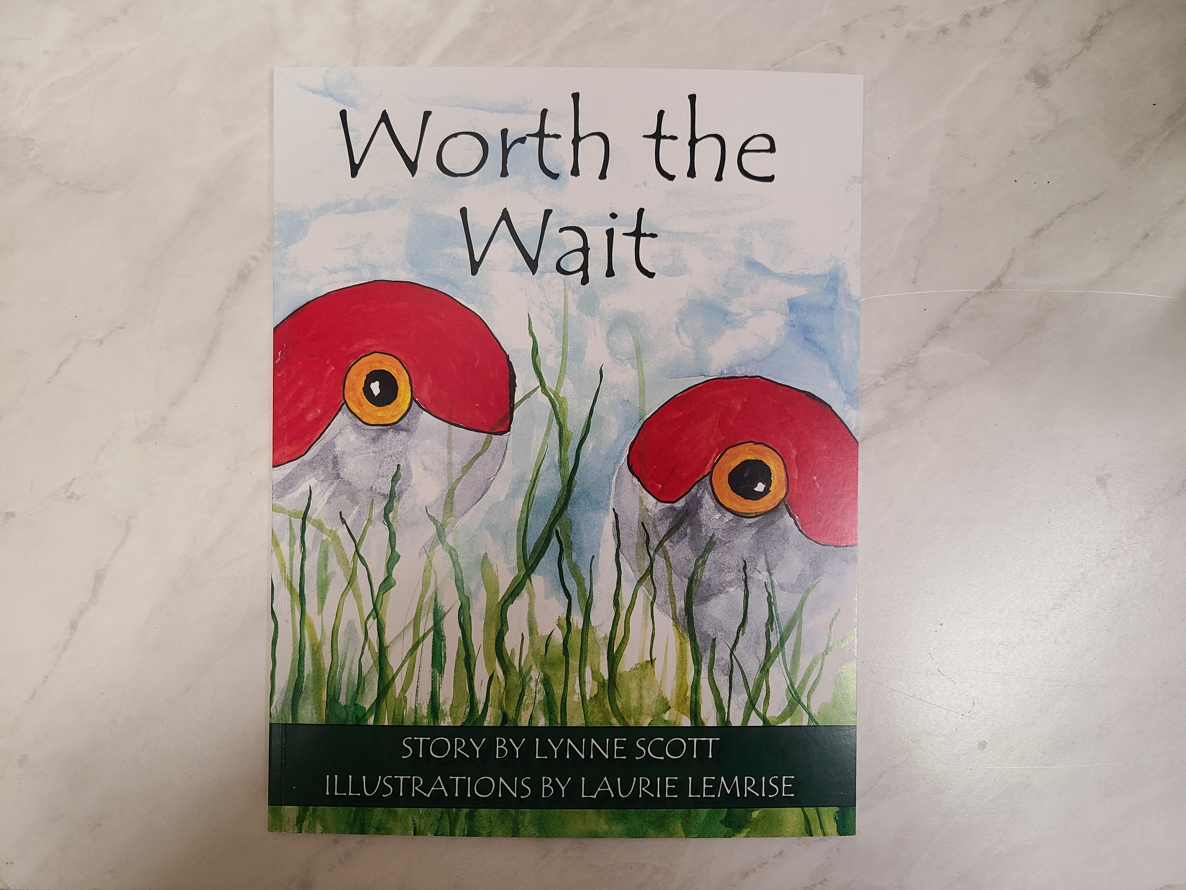Worth the Wait story by Lynne Scott and illustrations by Laurie Lemrise (Softcover)