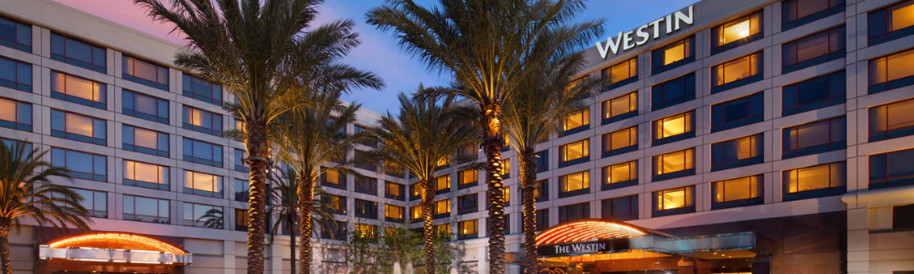 Untitled (800 × 200 px) (1000 × 200 px) (1000 × 300 px).png