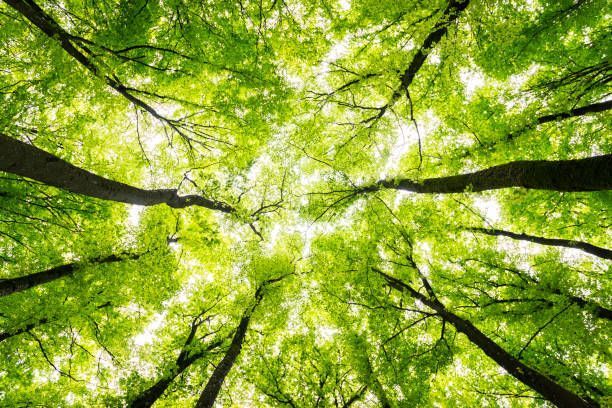 Updating Faith and Practice