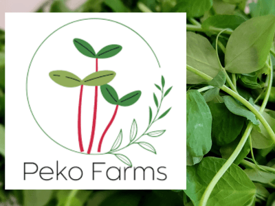 Peko Farms and the Mighty Microgreen!