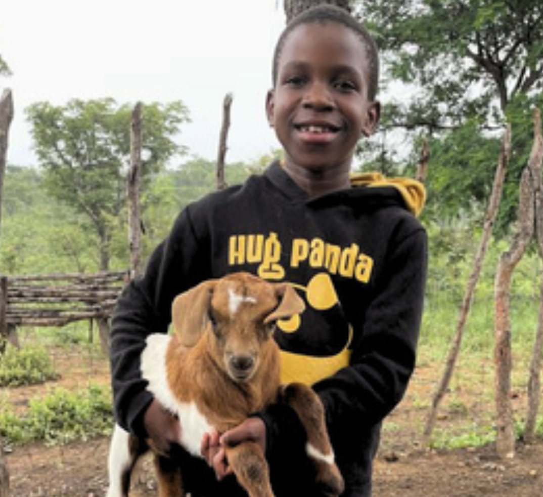 Give a Goat for a Family
