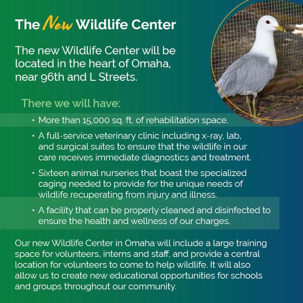 Capital Campaign A New Rehabilitation Center for Nebraska News