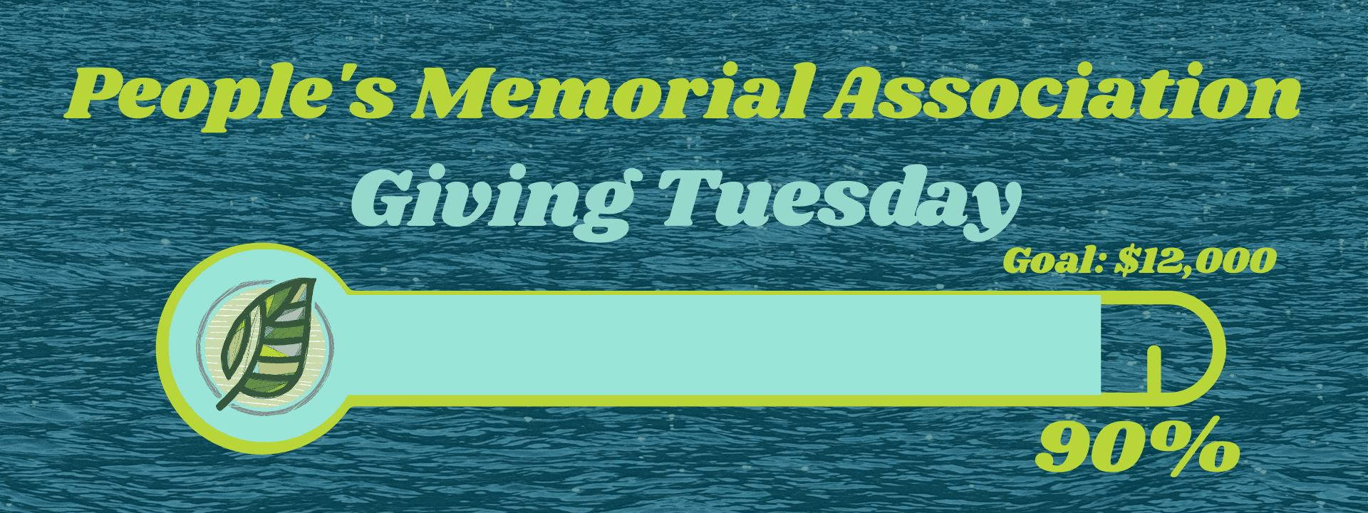 We are at 25% of our $12,000 goal.