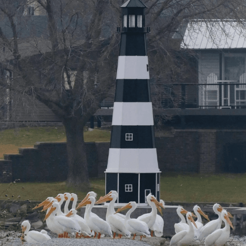 Marina Lighthouse