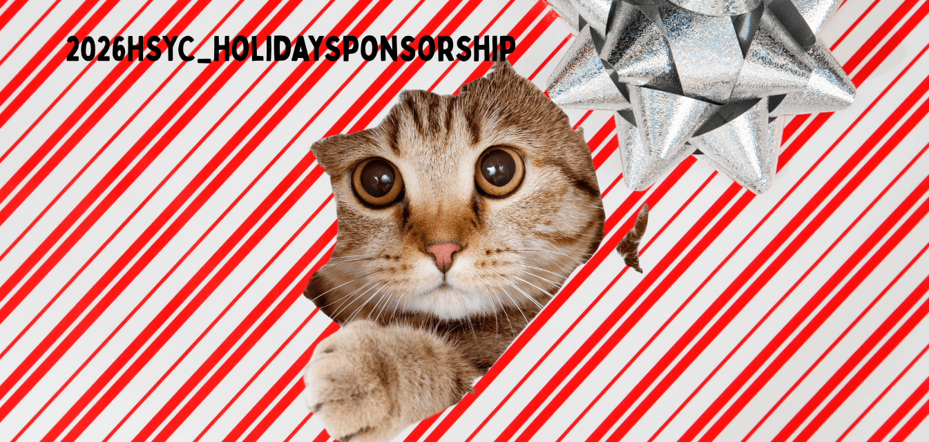Sponsor Today