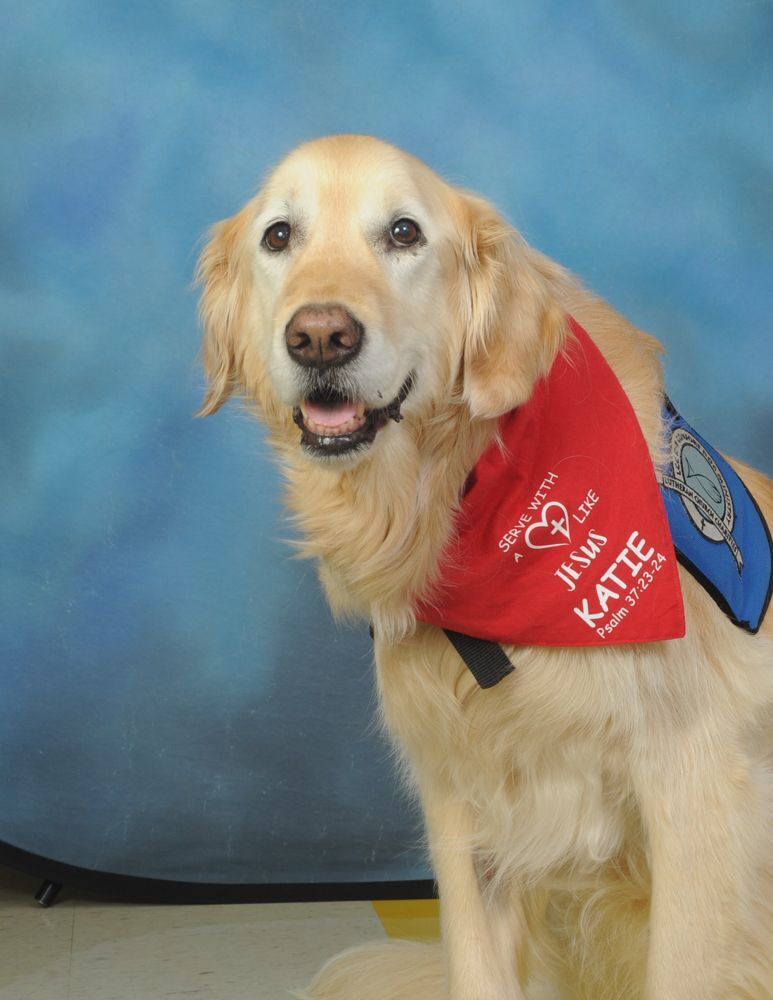 Ms. Katie Comfort Dog