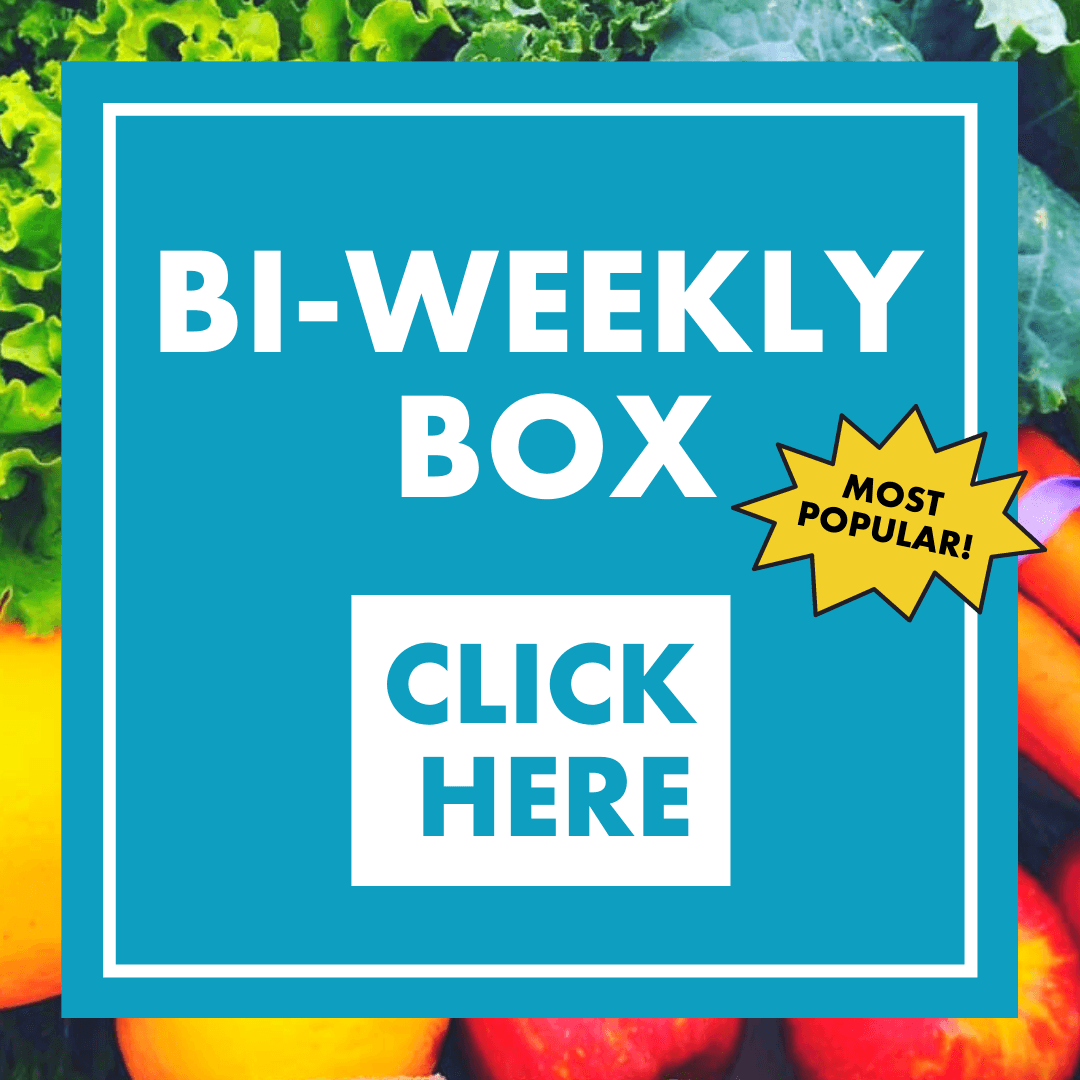 Bi-weekly subscription box