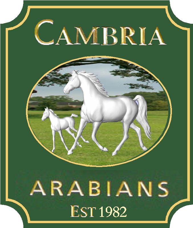 P25037 - Carved  HDU Sign for Arabian Horse Farm with 3-D Mare and Foal, Gold-Leaf Text and Borders 