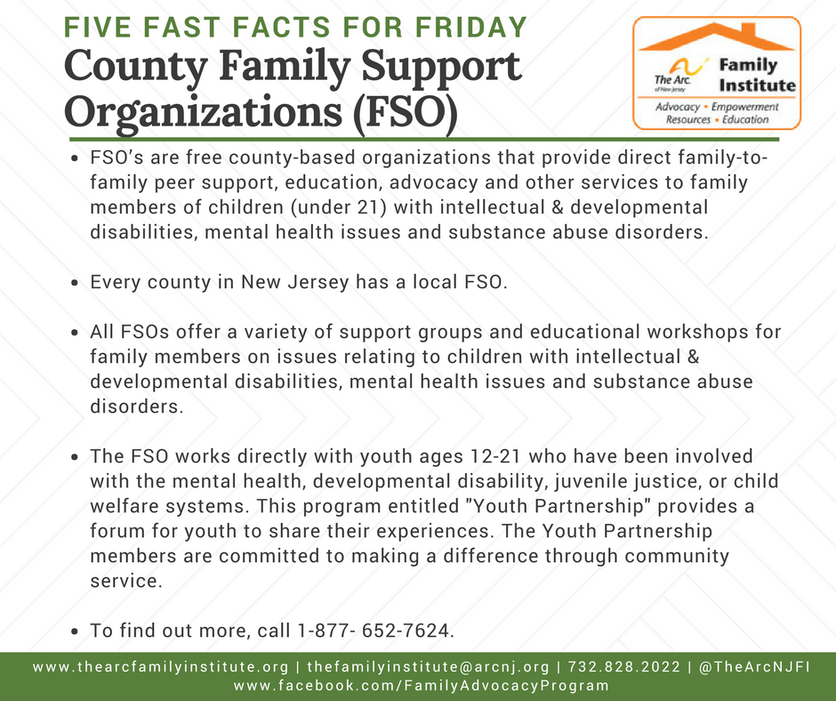 County Family Support Organizations (FSO)