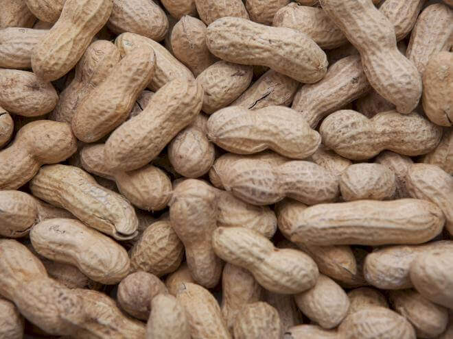 Peanuts in the Shell, 25lbs