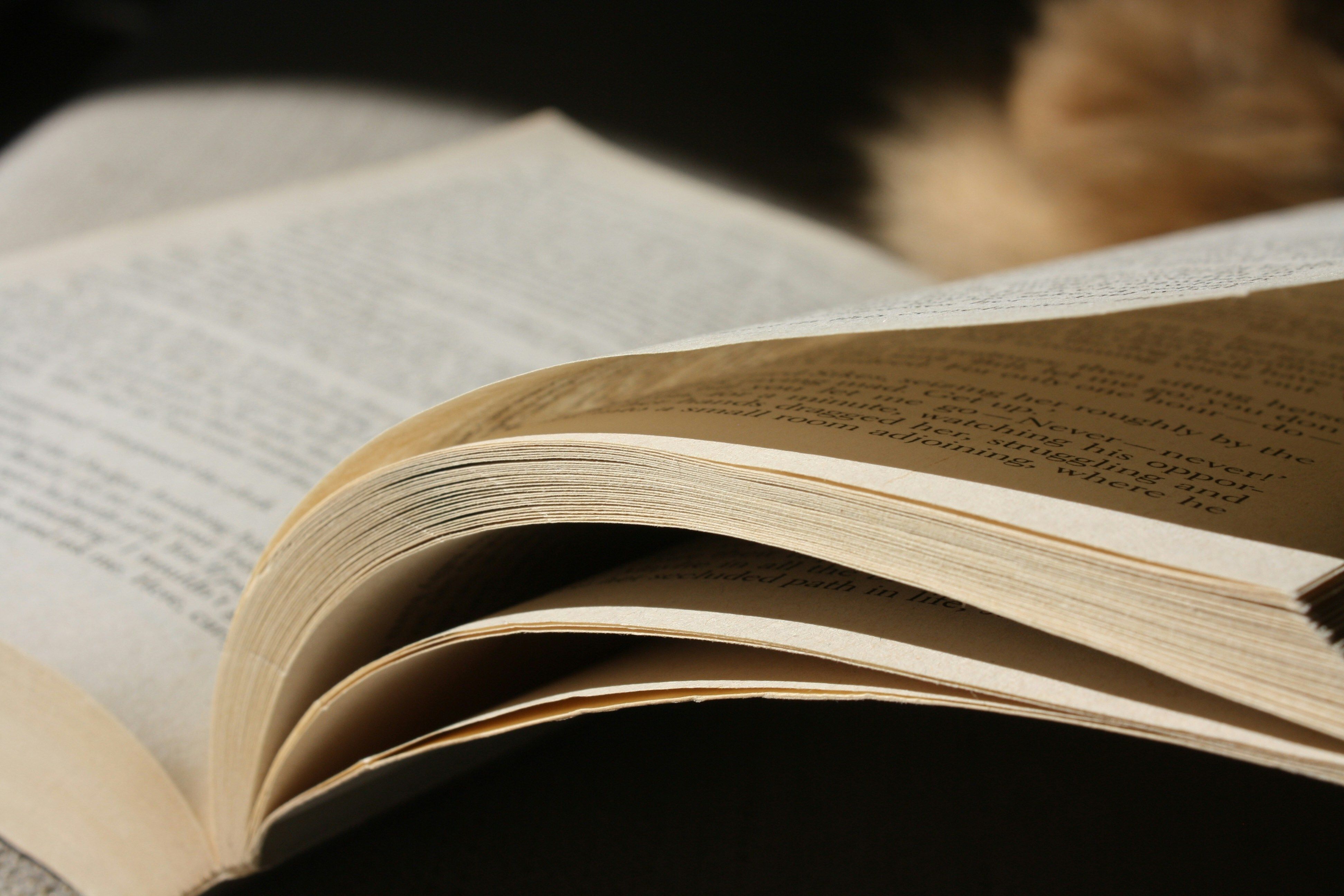 Photo of book lying open