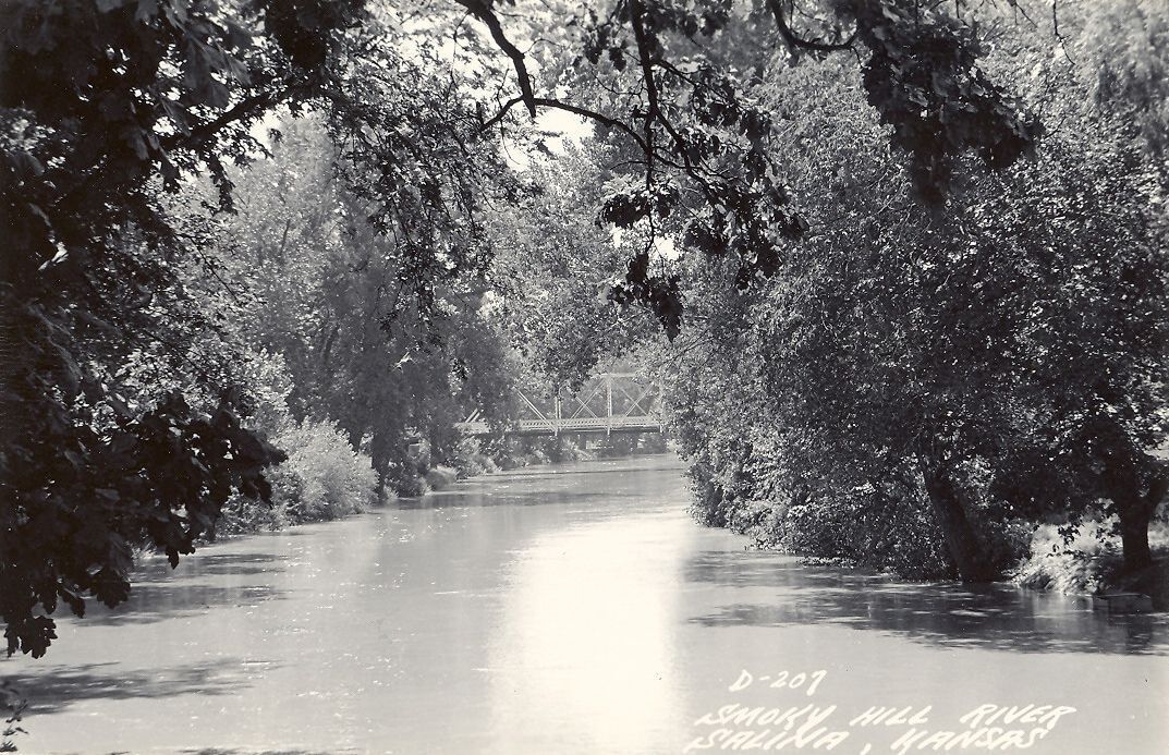 Black and white photo of a river with trees along both banks. There is a bridge in the background