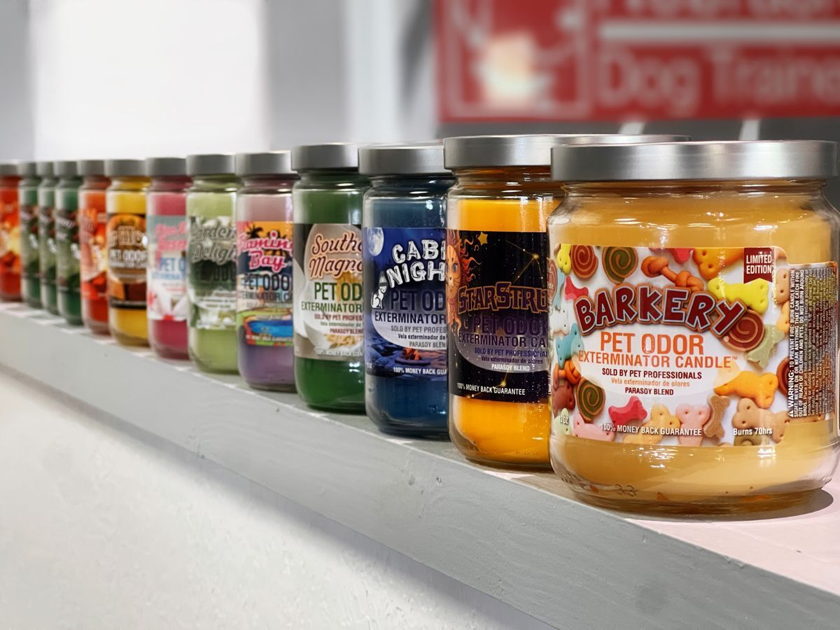 Pet Odor Eliminator Candles | Assorted Scents | Long Lasting Candles