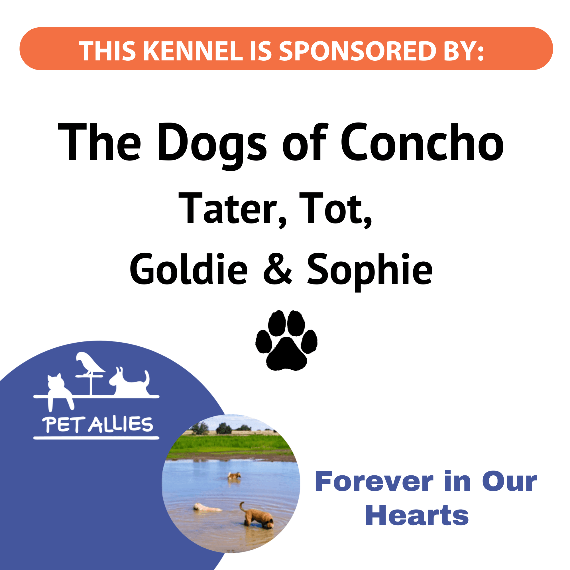 Dogs of Concho
