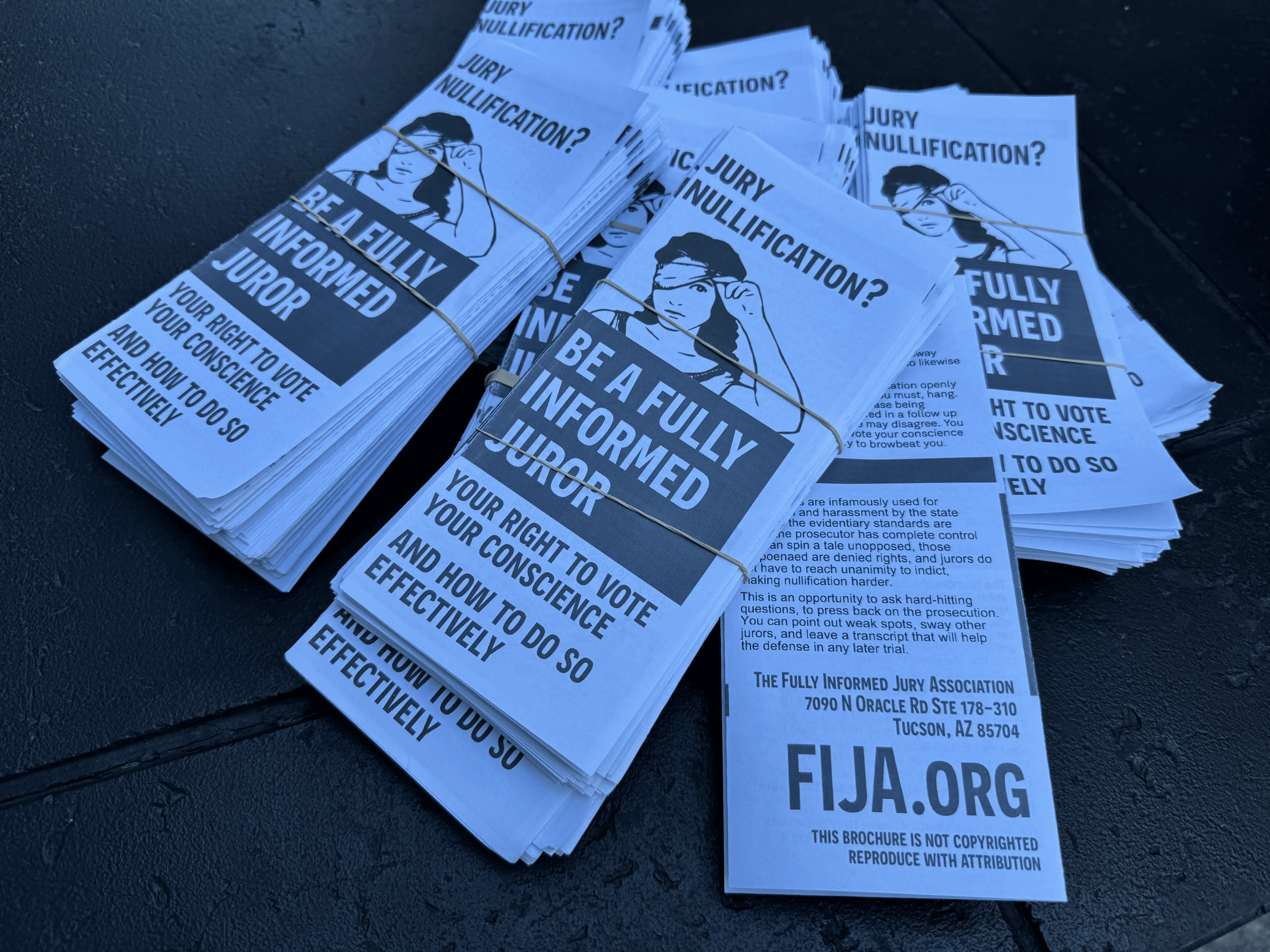 Jury Rights Education reportback from No Kings
