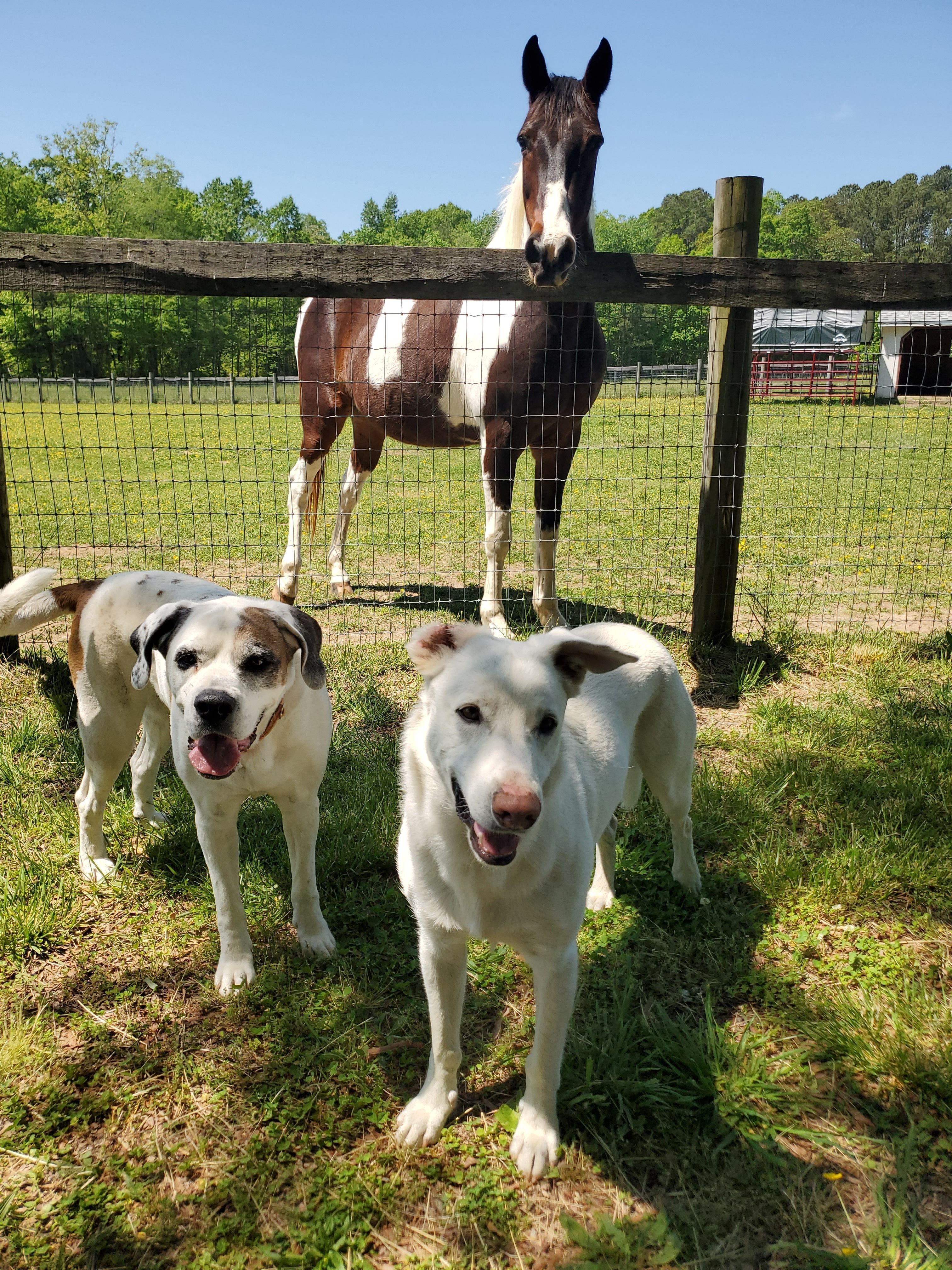 And a lot more in between