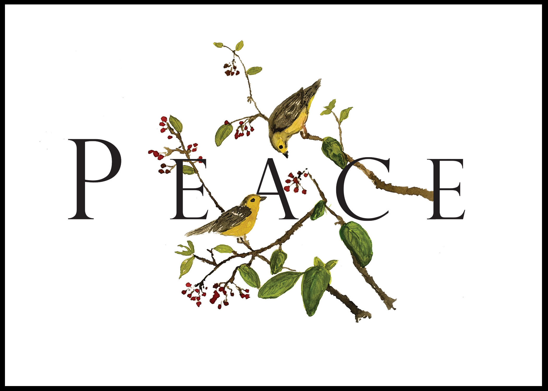 Peace - NEW 2025
