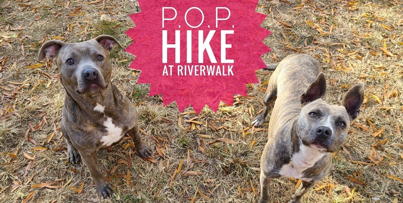 HSYC POP Hike! : Calendar : Humane Society of York County
