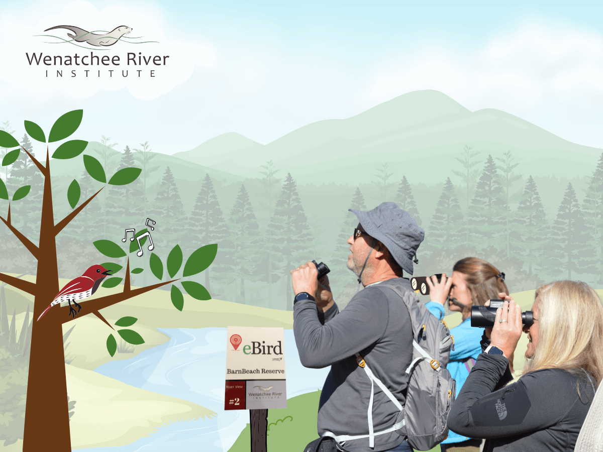 two women and a man all hold binoculars to look at a bird in a tree. Music notes show the bird is singing