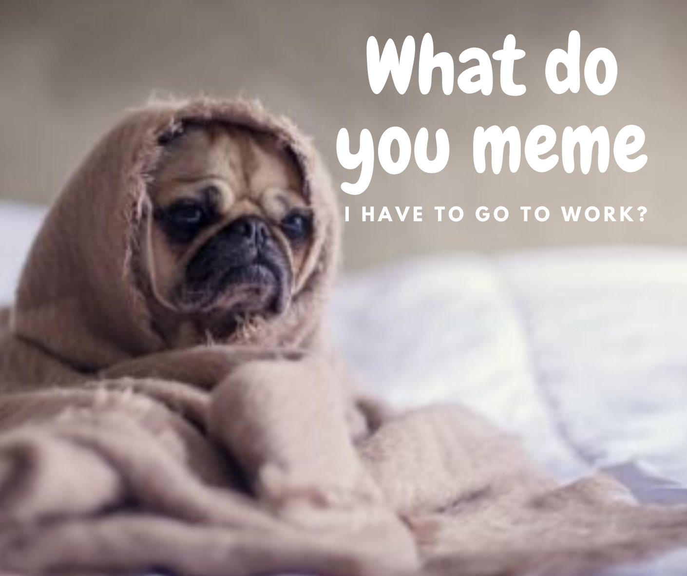 Merging Memes into Your Marketing