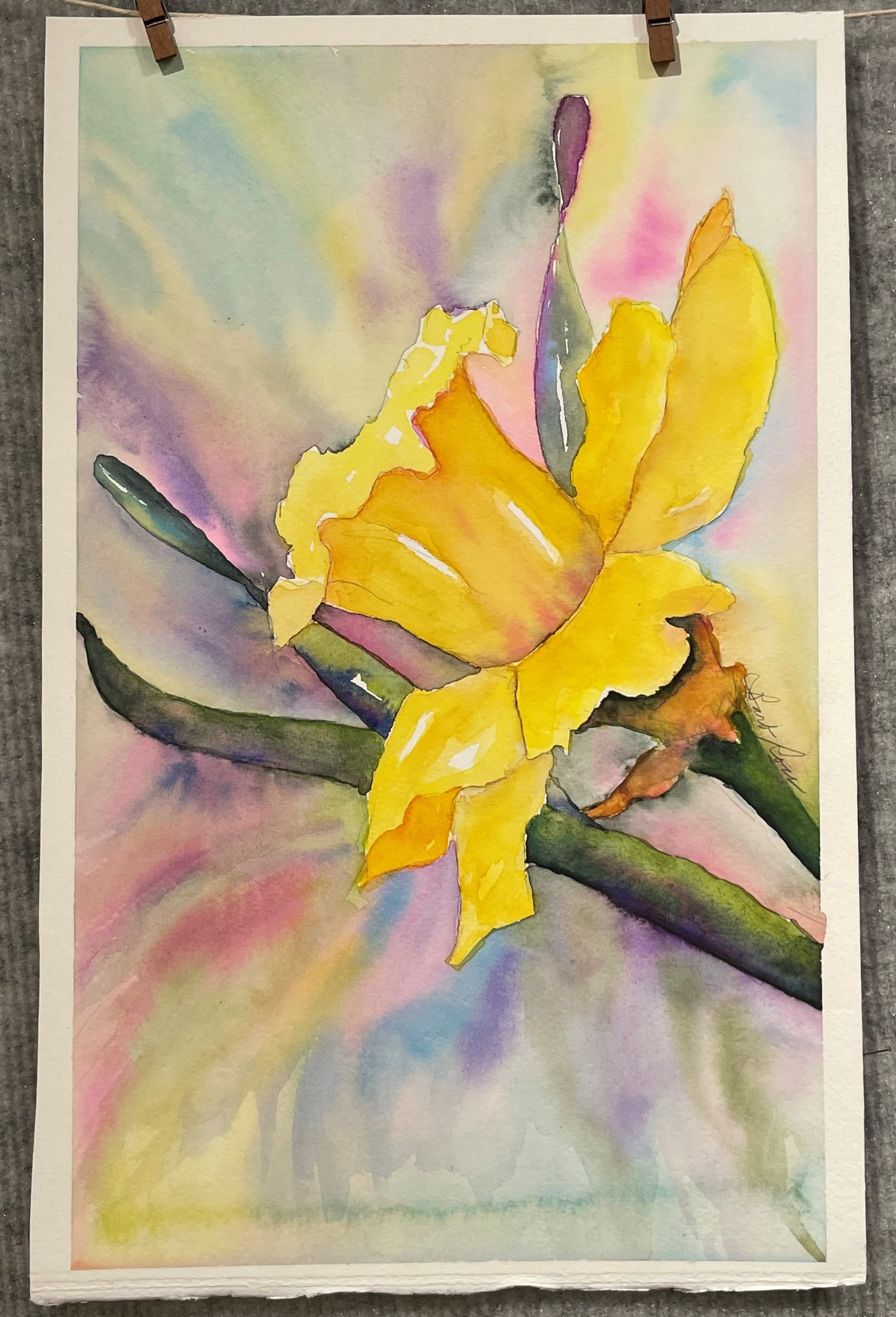 Single Daffodil Unframed