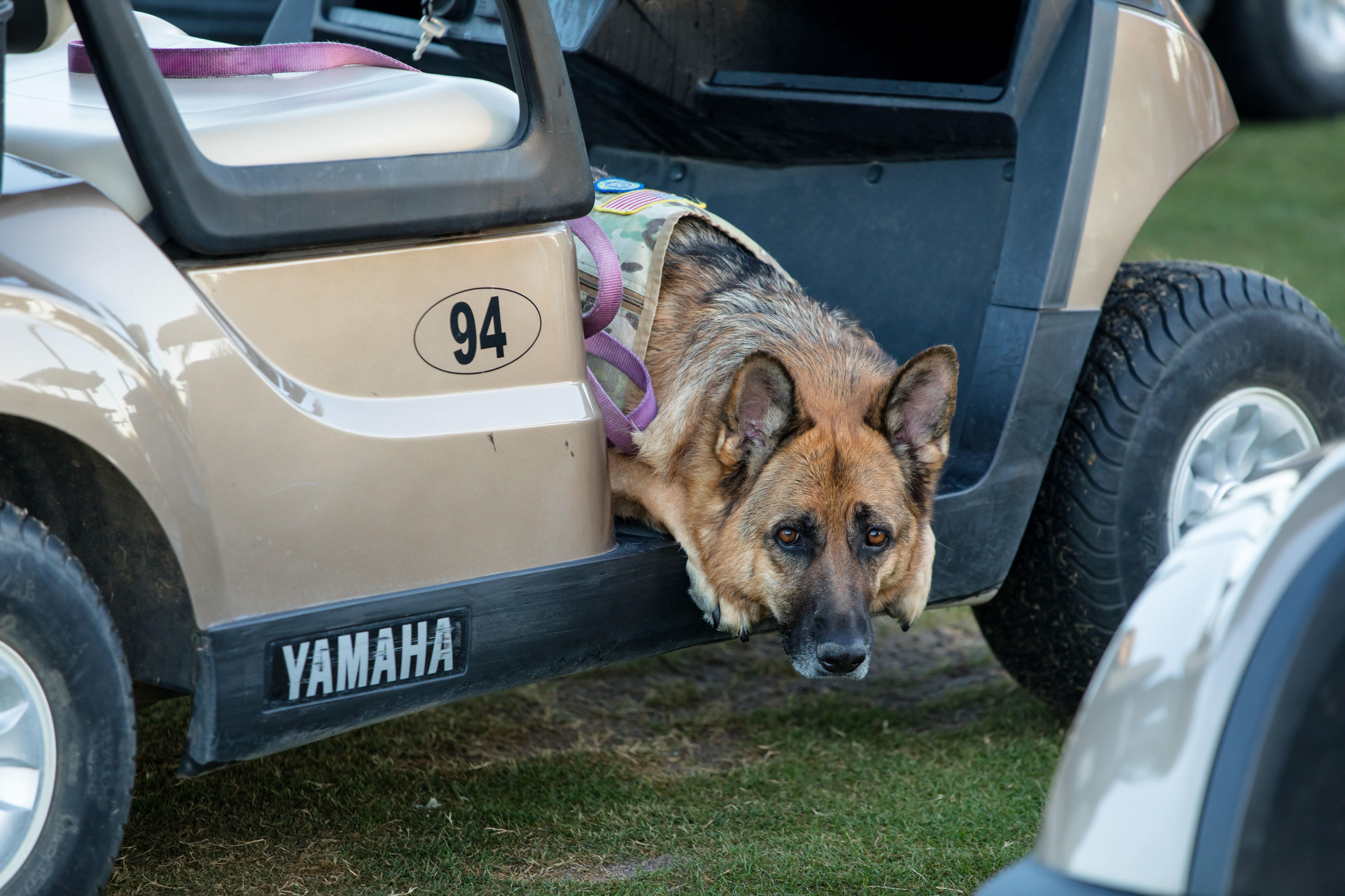 WANTED: Sponsors for our upcoming Golf Tournament