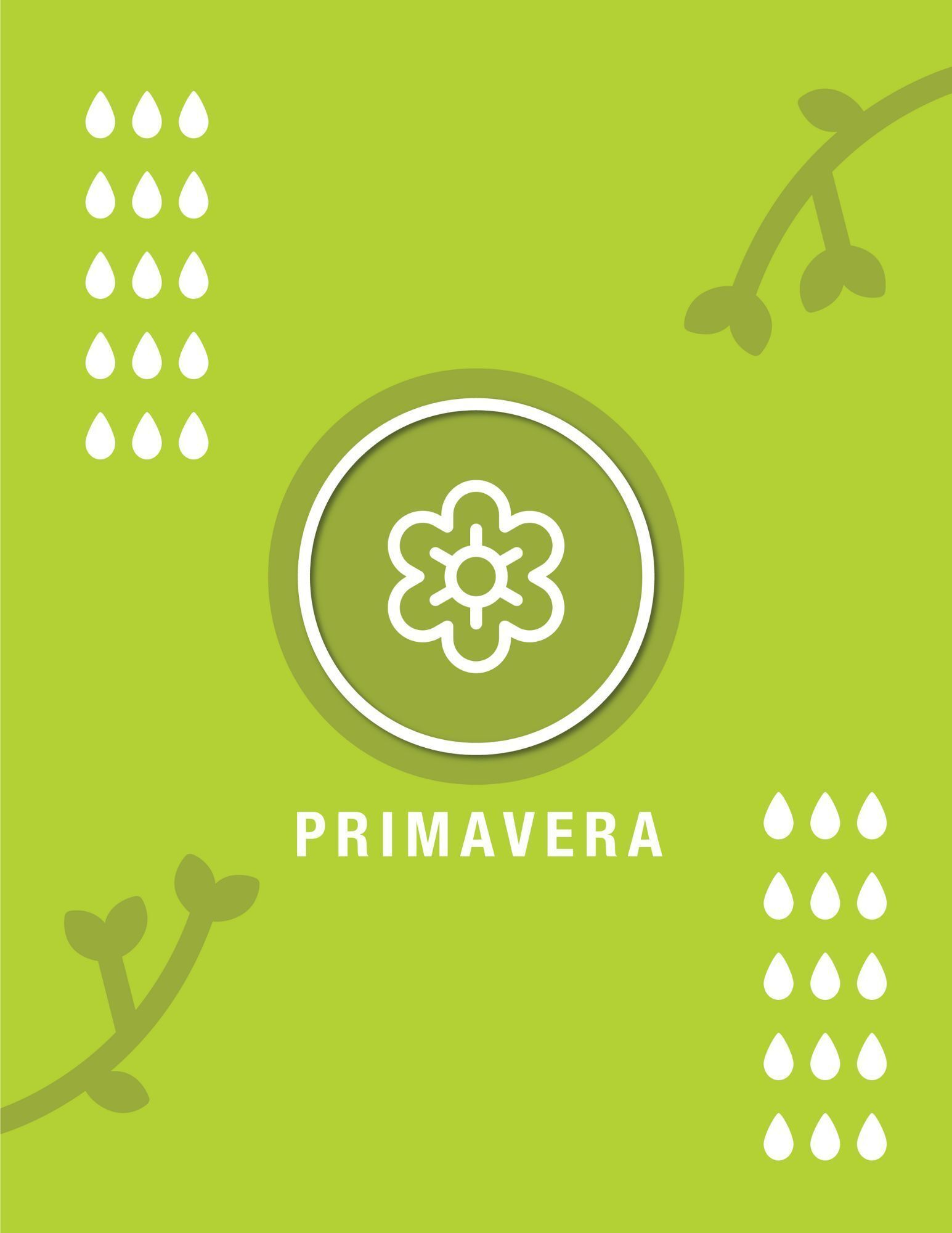 Guía de actividades para la primavera