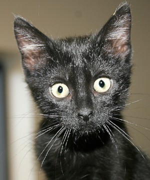 Meet Tabitha!