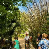 OMAM's Third Thursday Tour stops in the Gardens to view the Vietnam War Veterans Tribute. 