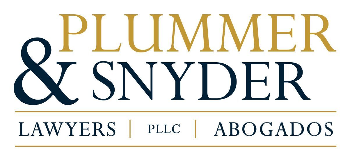 Plummer & Snyder, PLLC