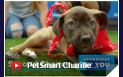 SBF in PetSmart Charities Ad