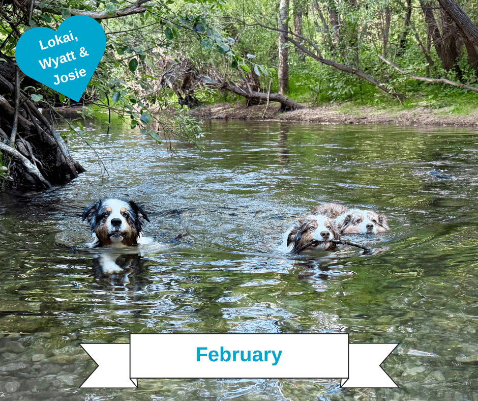 February 2026