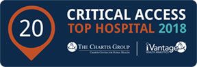 Critial Access Top Hospital 2018