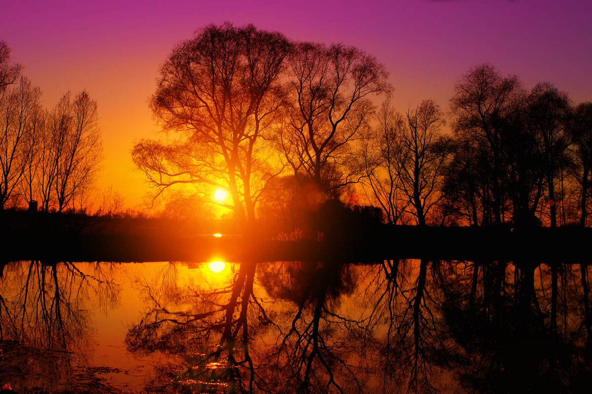 Finding Moments of Peace Within A Grieving Heart