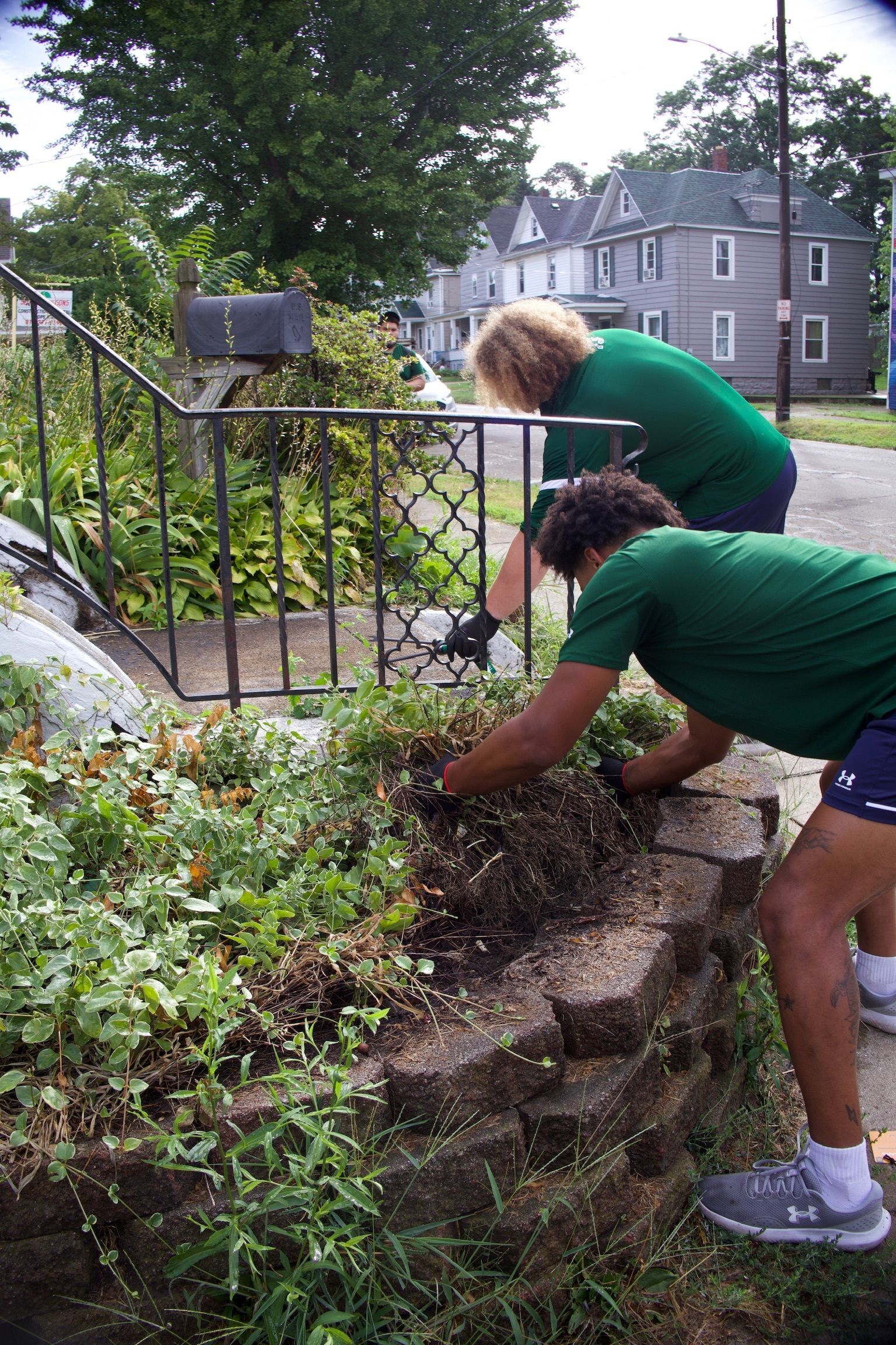 Volunteers weeding a flower bed