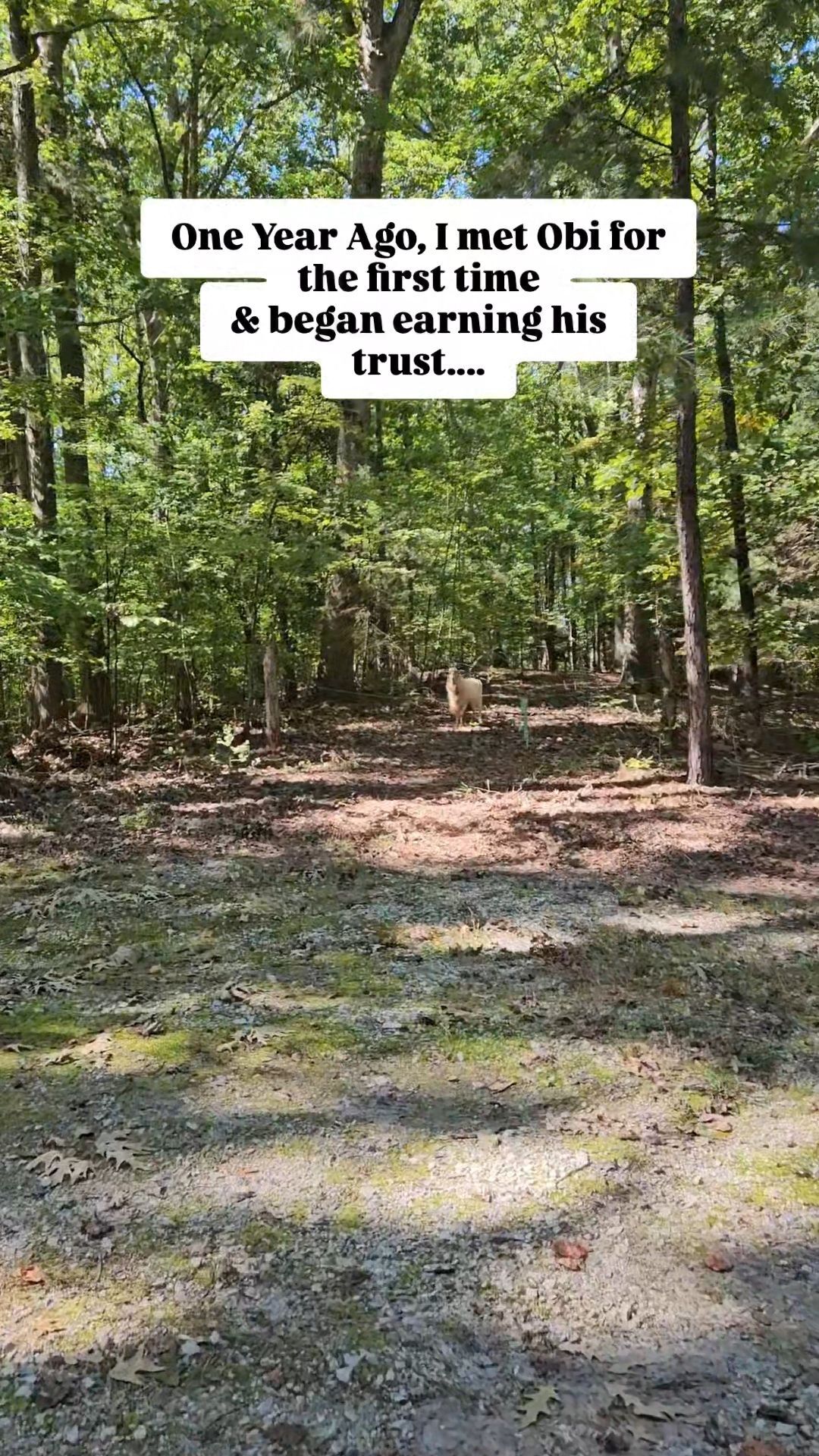 Watch Part 1 of Obi's Rescue Story