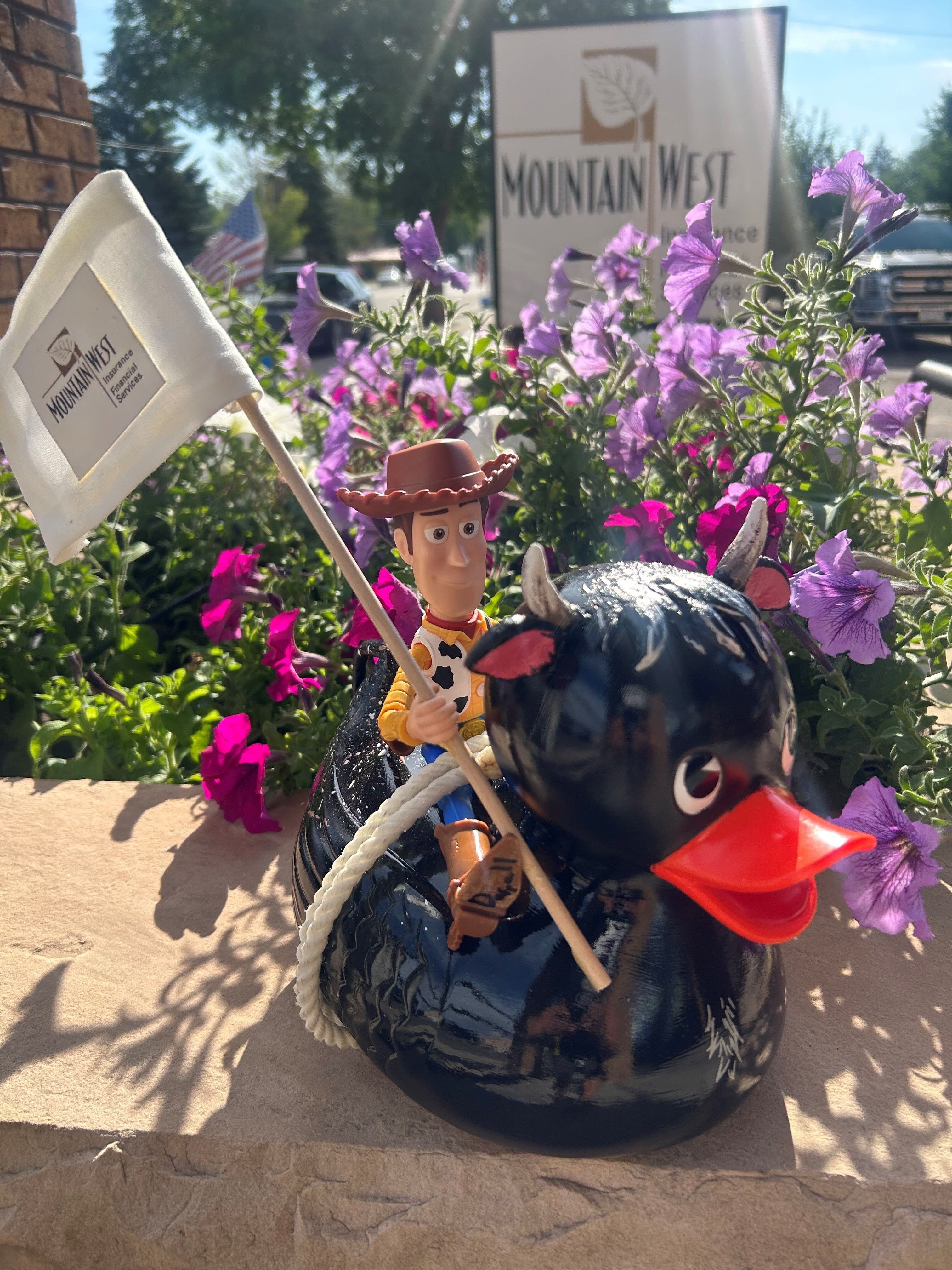Mountain West Insurance & Financial Services