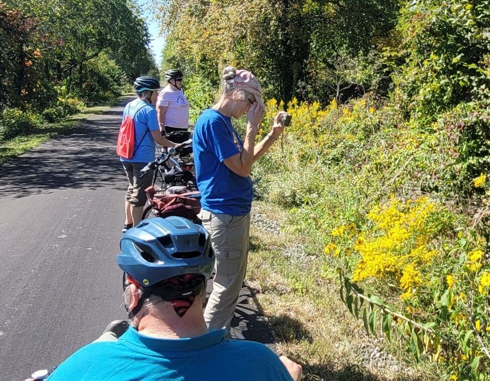 Join us on the Prairie Grass Trail for an interpretive tour of native blooming flowers.  