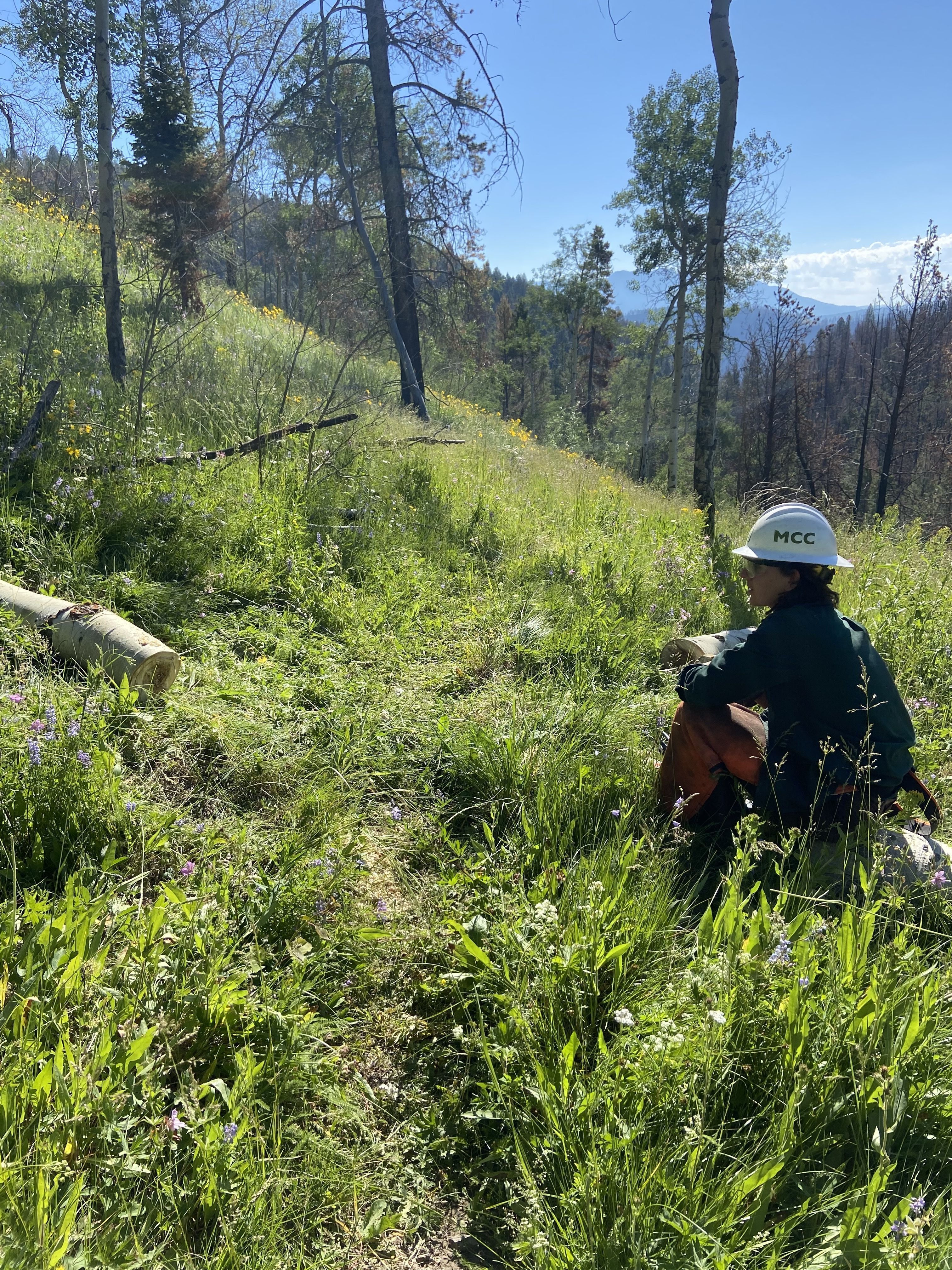 A crew leader sits on a grassy hill, spotted with flowers.