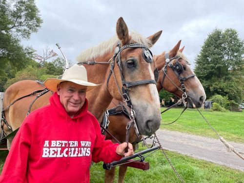 Man who owns them stands beside 2 giant horses 7 feet tall.