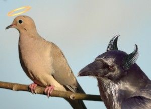 Nature's Ambassadors: The Birds of the San Diego Garden
