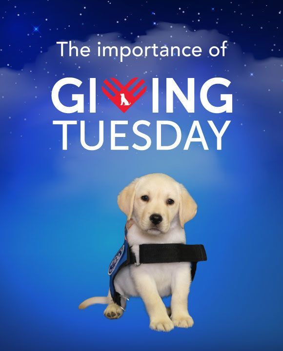 What is Giving Tuesday and why is it important to New Life K9s?
